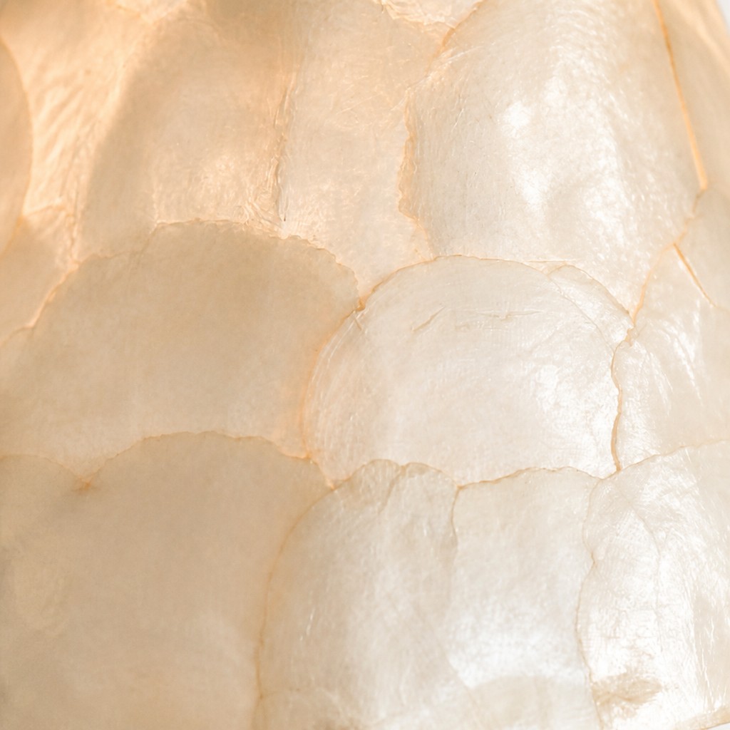 Close-up of natural capiz shell texture