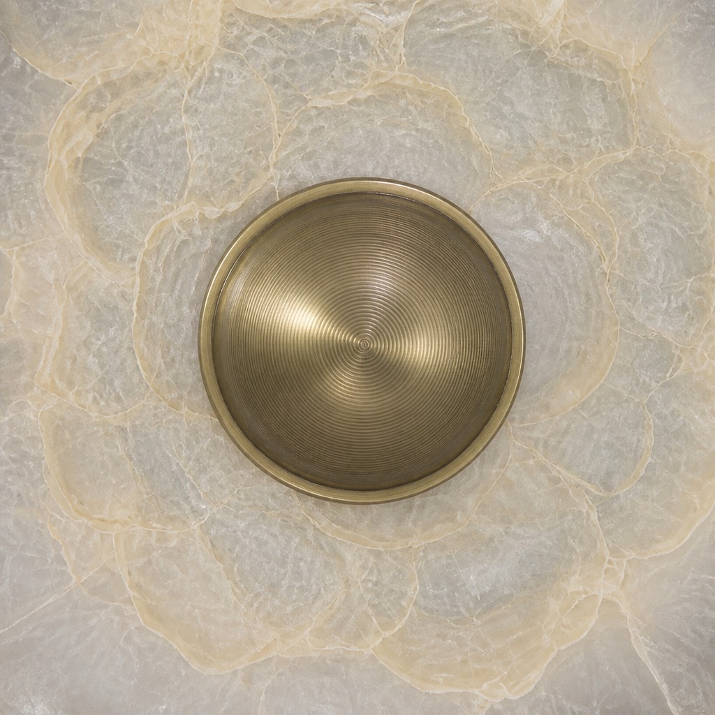 Close detail of Shellure gold center and shell surface