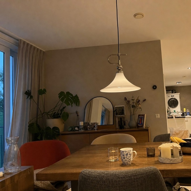 Customer interior featuring Kallera Magnolia Pendant Light