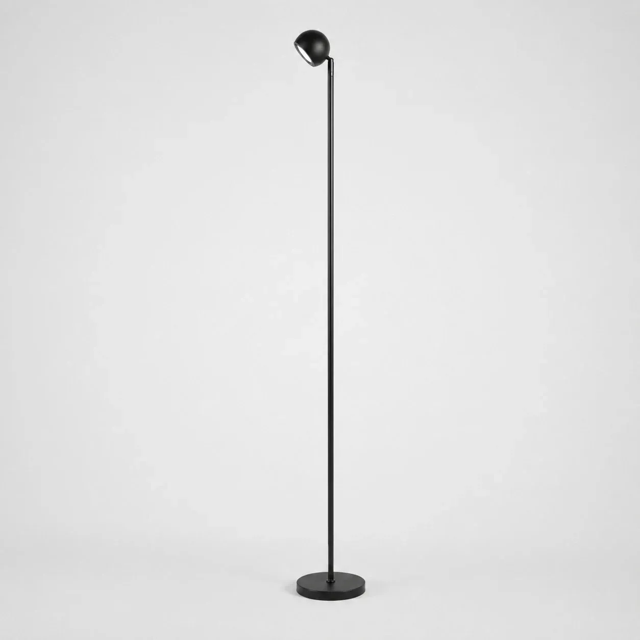 Minimalist Black Smart Remote Floor Lamp